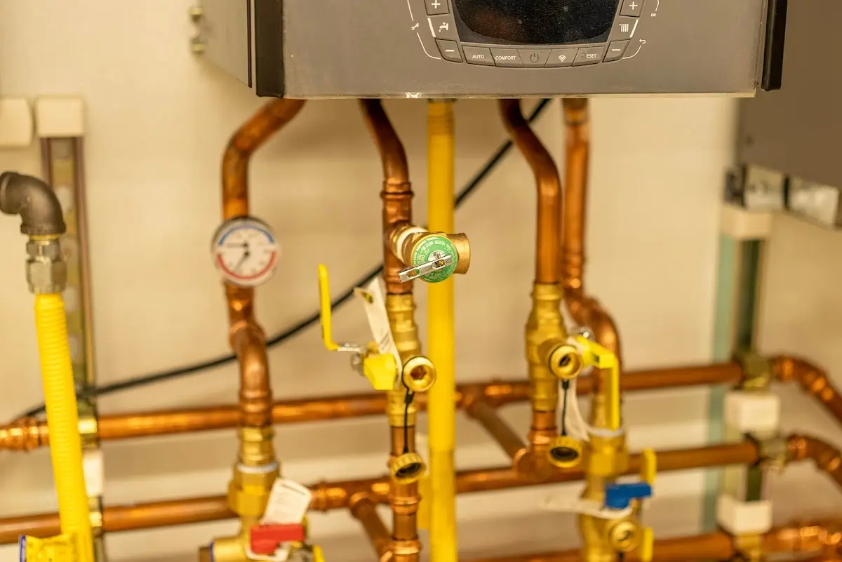 Licensed technician providing Sump Pump Repair for a homeowner in Balm